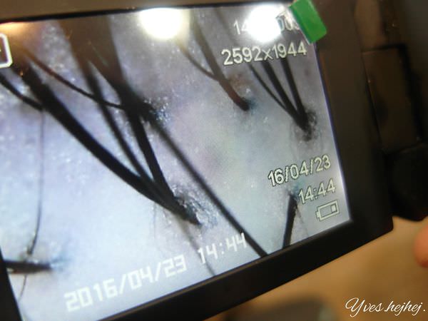 2012-11-13 04.02.26.jpg